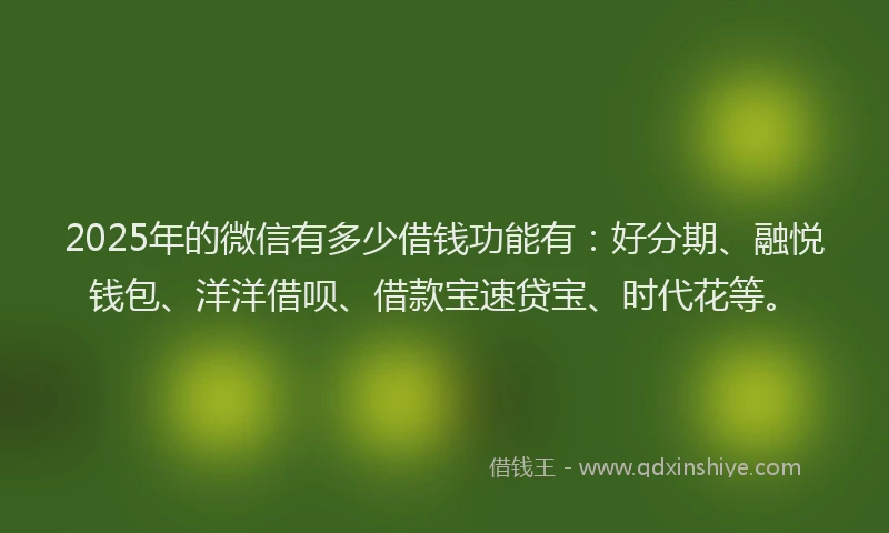 2025年的微信有多少借钱功能有：好分期、融悦钱包、洋洋借呗、借款宝速贷宝、时代花等。