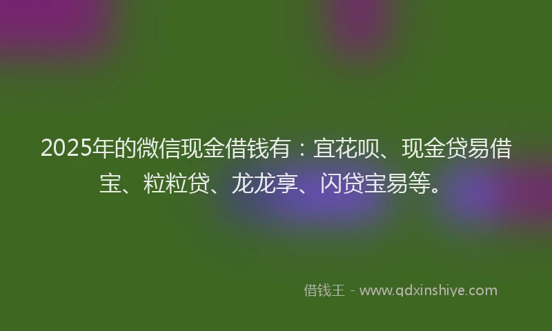 2025年的微信现金借钱有：宜花呗、现金贷易借宝、粒粒贷、龙龙享、闪贷宝易等。