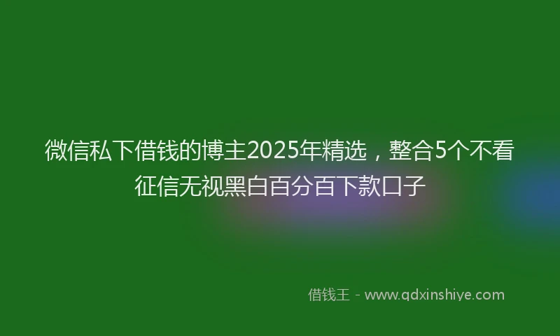 微信私下借钱的博主2025年精选，整合5个不看征信无视黑白百分百下款口子