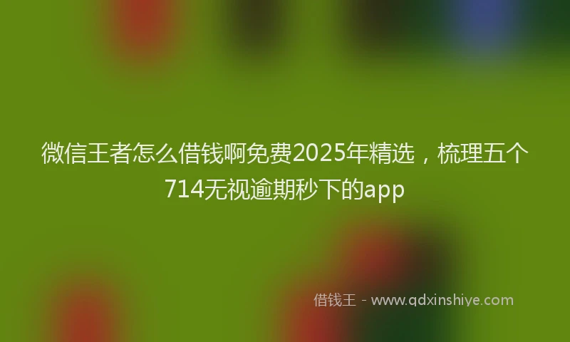 微信王者怎么借钱啊免费2025年精选，梳理五个714无视逾期秒下的app