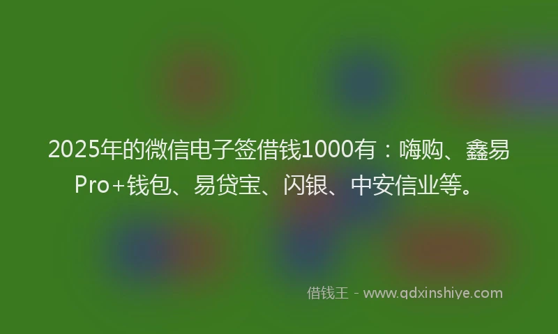 2025年的微信电子签借钱1000有：嗨购、鑫易Pro+钱包、易贷宝、闪银、中安信业等。