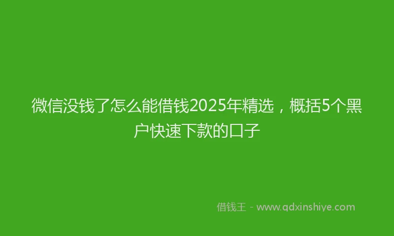微信没钱了怎么能借钱2025年精选，概括5个黑户快速下款的口子