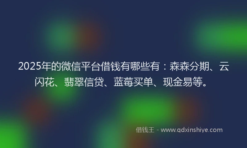 2025年的微信平台借钱有哪些有：森森分期、云闪花、翡翠信贷、蓝莓买单、现金易等。