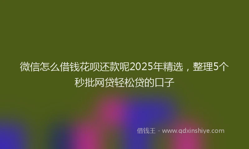 微信怎么借钱花呗还款呢2025年精选，整理5个秒批网贷轻松贷的口子