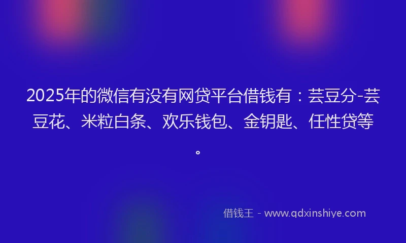 2025年的微信有没有网贷平台借钱有：芸豆分-芸豆花、米粒白条、欢乐钱包、金钥匙、任性贷等。