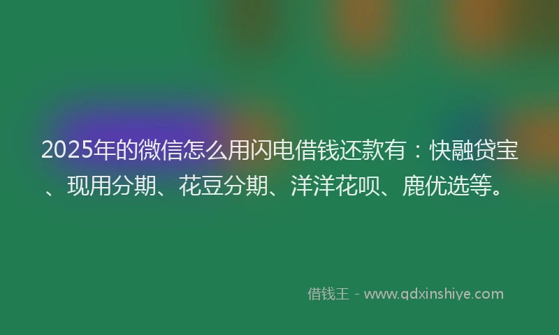 2025年的微信怎么用闪电借钱还款有：快融贷宝、现用分期、花豆分期、洋洋花呗、鹿优选等。