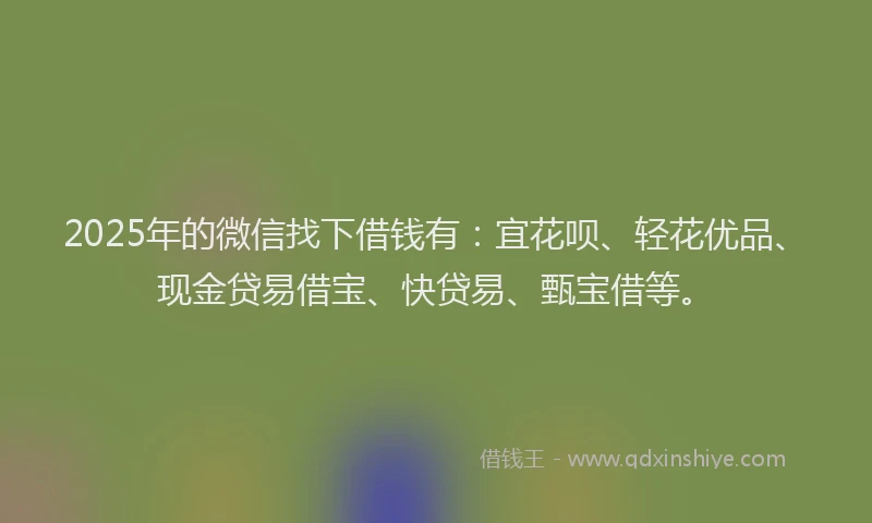 2025年的微信找下借钱有：宜花呗、轻花优品、现金贷易借宝、快贷易、甄宝借等。