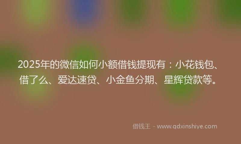 2025年的微信如何小额借钱提现有：小花钱包、借了么、爱达速贷、小金鱼分期、星辉贷款等。