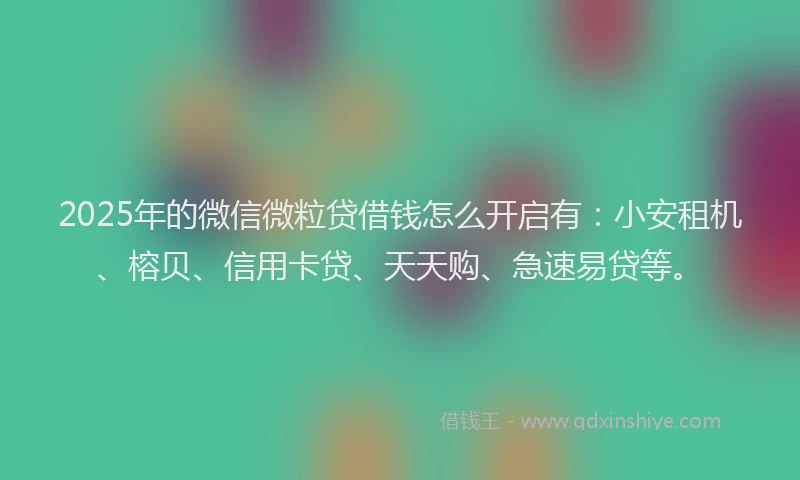 2025年的微信微粒贷借钱怎么开启有：小安租机、榕贝、信用卡贷、天天购、急速易贷等。