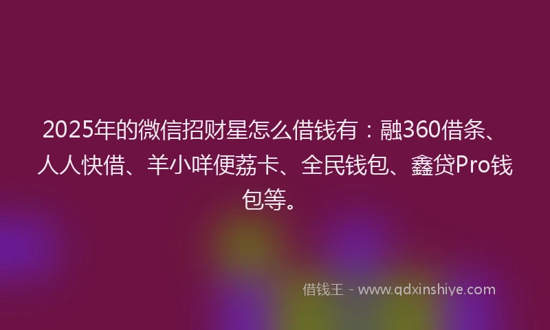 2025年的微信招财星怎么借钱有：融360借条、人人快借、羊小咩便荔卡、全民钱包、鑫贷Pro钱包等。
