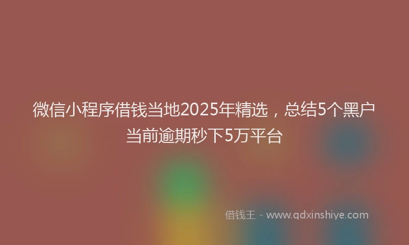 微信小程序借钱当地2025年精选，总结5个黑户当前逾期秒下5万平台