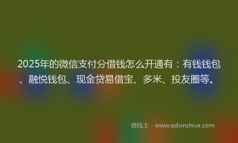 2025年的微信支付分借钱怎么开通有：有钱钱包、融悦钱包、现金贷易借宝、多米、投友圈等。