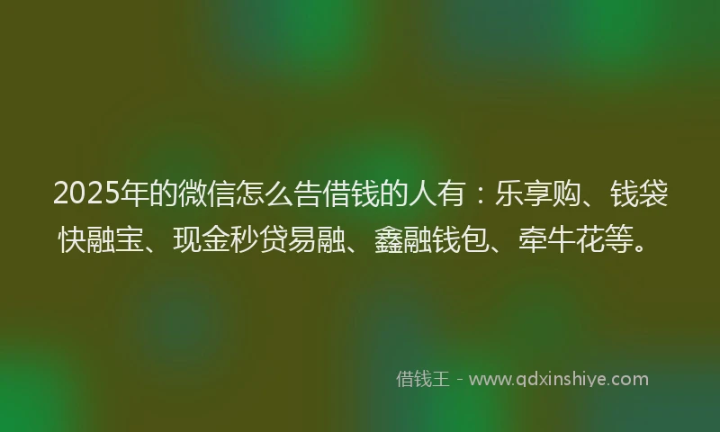 2025年的微信怎么告借钱的人有：乐享购、钱袋快融宝、现金秒贷易融、鑫融钱包、牵牛花等。