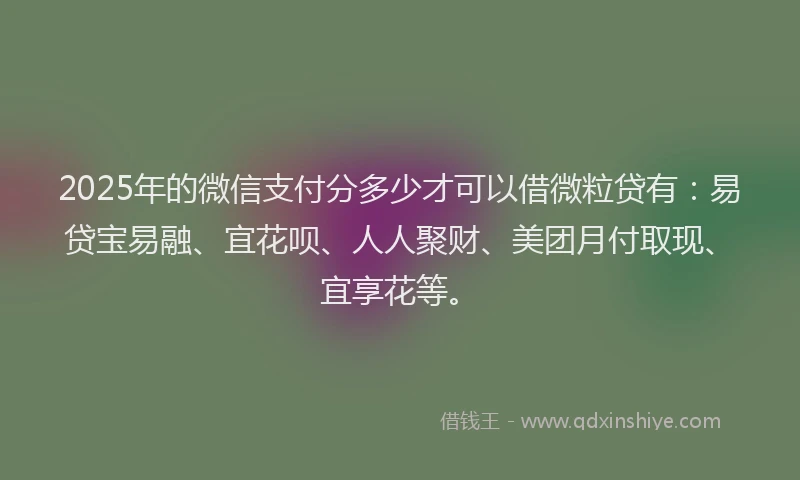 2025年的微信支付分多少才可以借微粒贷有：易贷宝易融、宜花呗、人人聚财、美团月付取现、宜享花等。