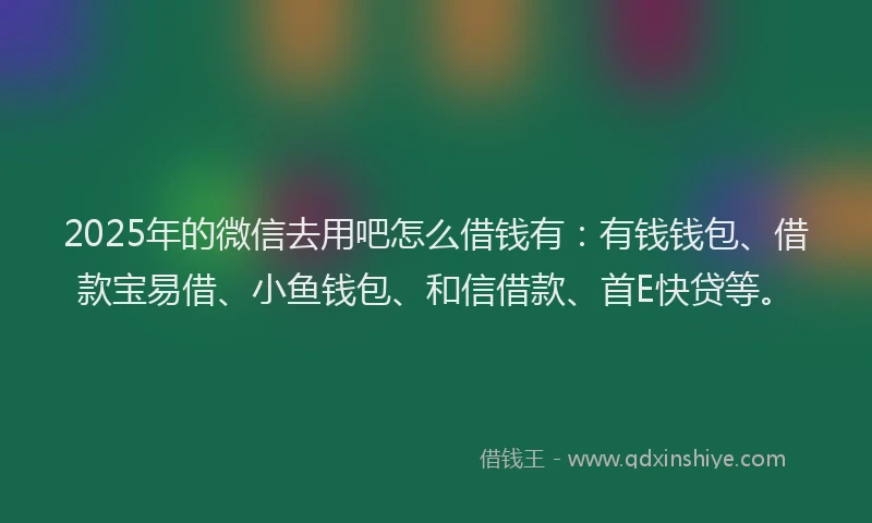 2025年的微信去用吧怎么借钱有：有钱钱包、借款宝易借、小鱼钱包、和信借款、首E快贷等。
