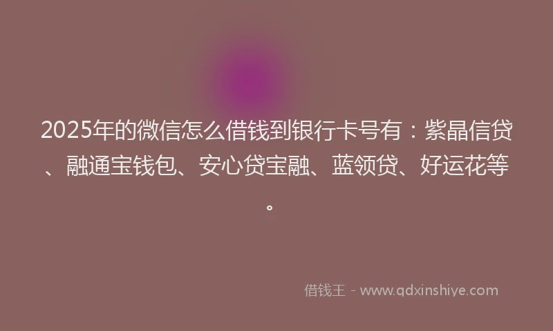 2025年的微信怎么借钱到银行卡号有:紫晶信贷、融通宝钱包、安心贷宝融、蓝领贷、好运花等。