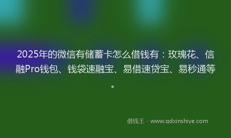 2025年的微信有储蓄卡怎么借钱有：玫瑰花、信融Pro钱包、钱袋速融宝、易借速贷宝、易秒通等。