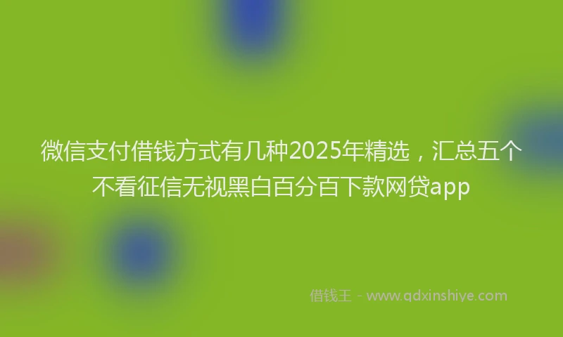 微信支付借钱方式有几种2025年精选，汇总五个不看征信无视黑白百分百下款网贷app