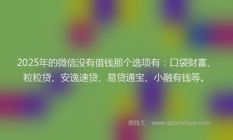 2025年的微信没有借钱那个选项有：口袋财富、粒粒贷、安逸速贷、易贷通宝、小融有钱等。
