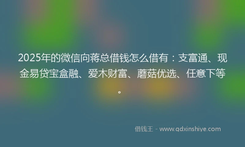 2025年的微信向蒋总借钱怎么借有：支富通、现金易贷宝盒融、爱木财富、蘑菇优选、任意下等。