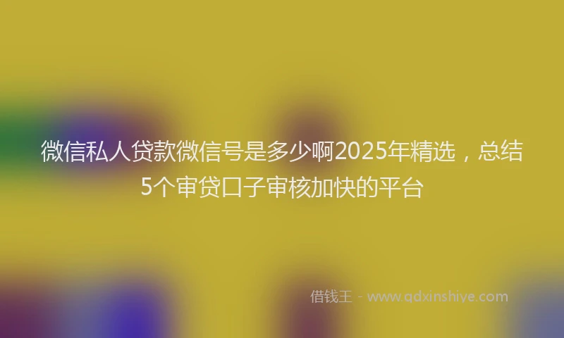微信私人贷款微信号是多少啊2025年精选，总结5个审贷口子审核加快的平台