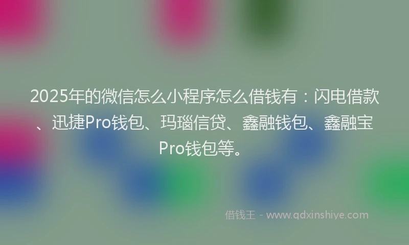2025年的微信怎么小程序怎么借钱有：闪电借款、迅捷Pro钱包、玛瑙信贷、鑫融钱包、鑫融宝Pro钱包等。