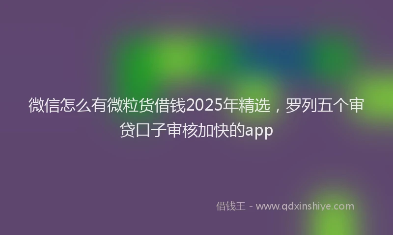 微信怎么有微粒货借钱2025年精选，罗列五个审贷口子审核加快的app