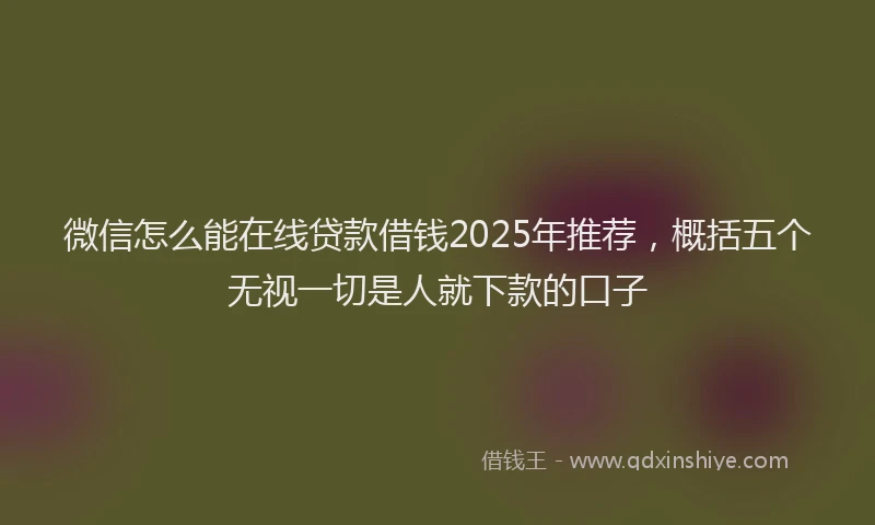 微信怎么能在线贷款借钱2025年推荐，概括五个无视一切是人就下款的口子