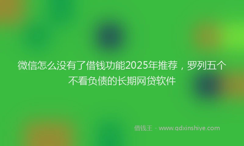 微信怎么没有了借钱功能2025年推荐，罗列五个不看负债的长期网贷软件