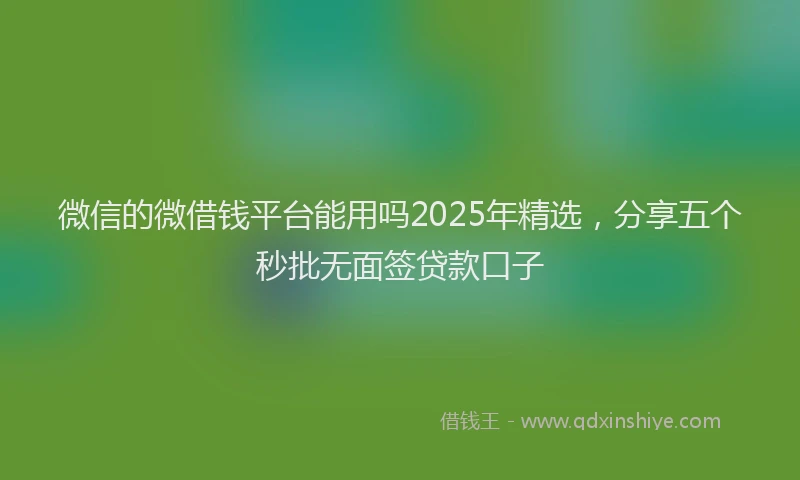 微信的微借钱平台能用吗2025年精选，分享五个秒批无面签贷款口子