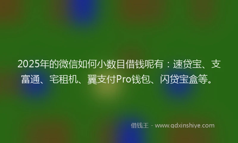 2025年的微信如何小数目借钱呢有：速贷宝、支富通、宅租机、翼支付Pro钱包、闪贷宝盒等。