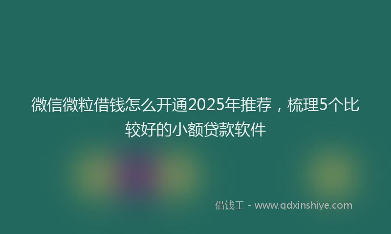 微信微粒借钱怎么开通2025年推荐，梳理5个比较好的小额贷款软件