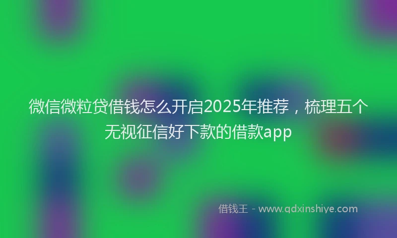 微信微粒贷借钱怎么开启2025年推荐，梳理五个无视征信好下款的借款app