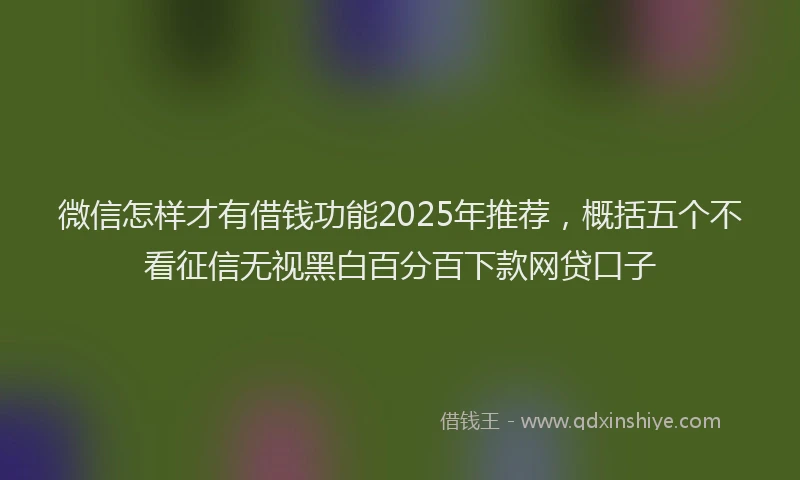 微信怎样才有借钱功能2025年推荐，概括五个不看征信无视黑白百分百下款网贷口子