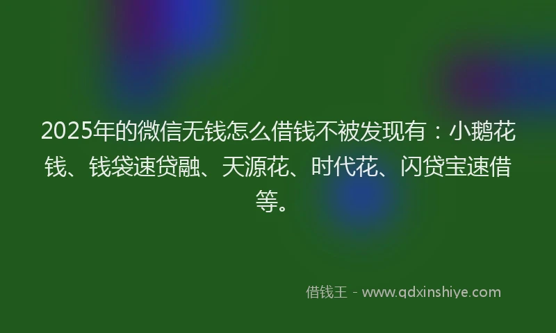 2025年的微信无钱怎么借钱不被发现有：小鹅花钱、钱袋速贷融、天源花、时代花、闪贷宝速借等。