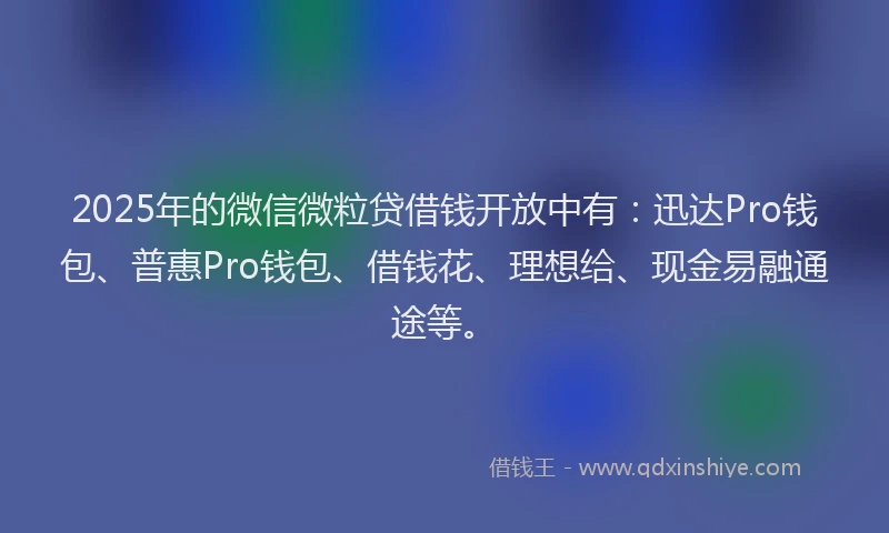 2025年的微信微粒贷借钱开放中有：迅达Pro钱包、普惠Pro钱包、借钱花、理想给、现金易融通途等。