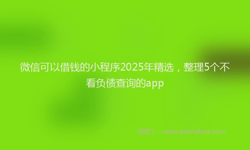 微信可以借钱的小程序2025年精选，整理5个不看负债查询的app