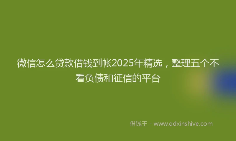 微信怎么贷款借钱到帐2025年精选，整理五个不看负债和征信的平台