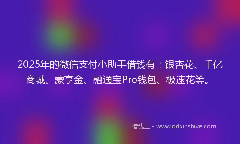 2025年的微信支付小助手借钱有：银杏花、千亿商城、蒙享金、融通宝Pro钱包、极速花等。