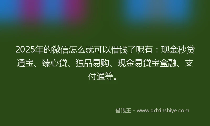 2025年的微信怎么就可以借钱了呢有：现金秒贷通宝、臻心贷、独品易购、现金易贷宝盒融、支付通等。