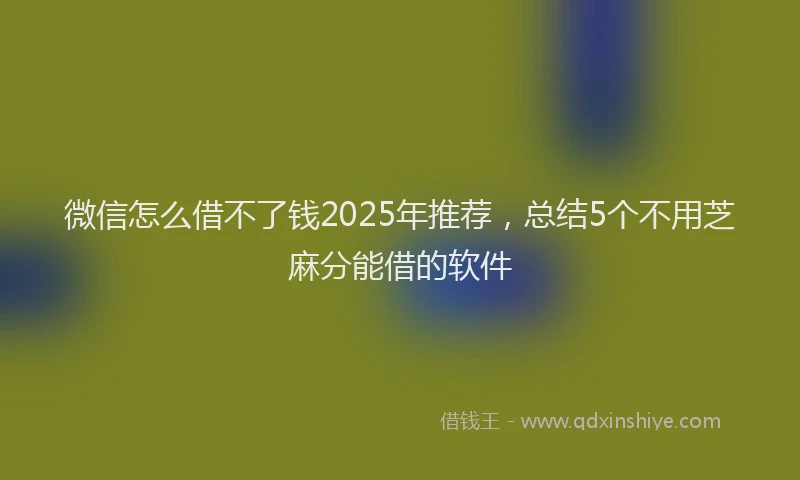 微信怎么借不了钱2025年推荐，总结5个不用芝麻分能借的软件