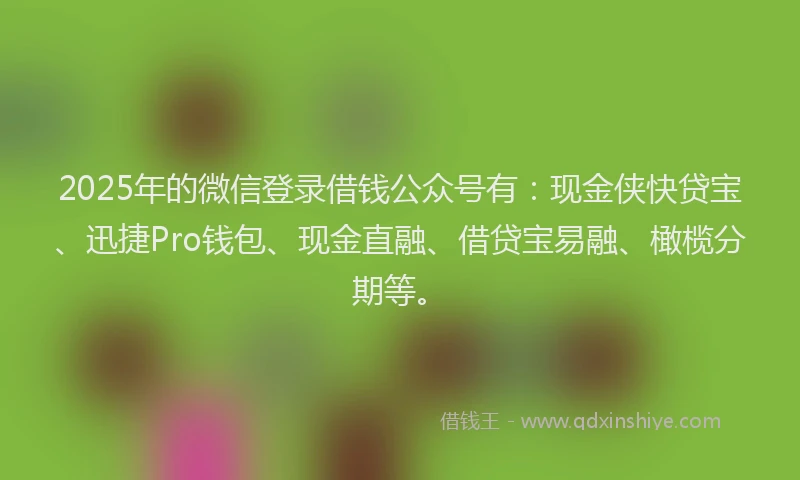2025年的微信登录借钱公众号有：现金侠快贷宝、迅捷Pro钱包、现金直融、借贷宝易融、橄榄分期等。