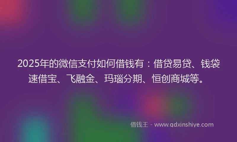 2025年的微信支付如何借钱有：借贷易贷、钱袋速借宝、飞融金、玛瑙分期、恒创商城等。