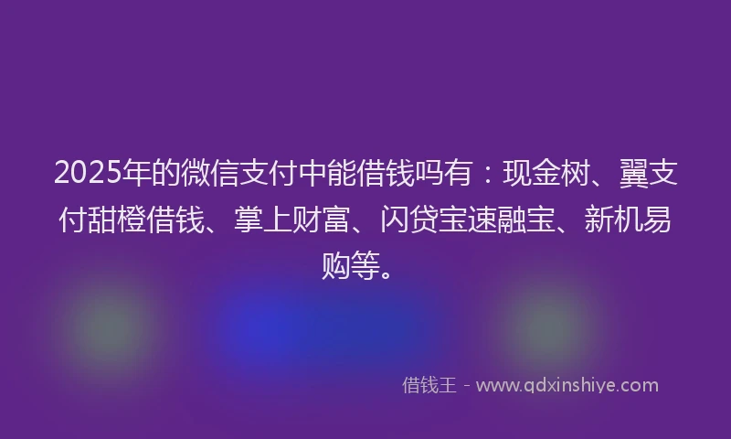 2025年的微信支付中能借钱吗有：现金树、翼支付甜橙借钱、掌上财富、闪贷宝速融宝、新机易购等。