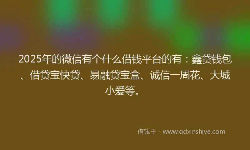 2025年的微信有个什么借钱平台的有：鑫贷钱包、借贷宝快贷、易融贷宝盒、诚信一周花、大城小爱等。