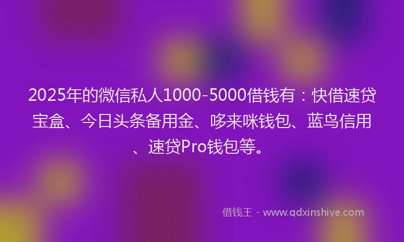 2025年的微信私人1000-5000借钱有：快借速贷宝盒、今日头条备用金、哆来咪钱包、蓝鸟信用、速贷Pro钱包等。