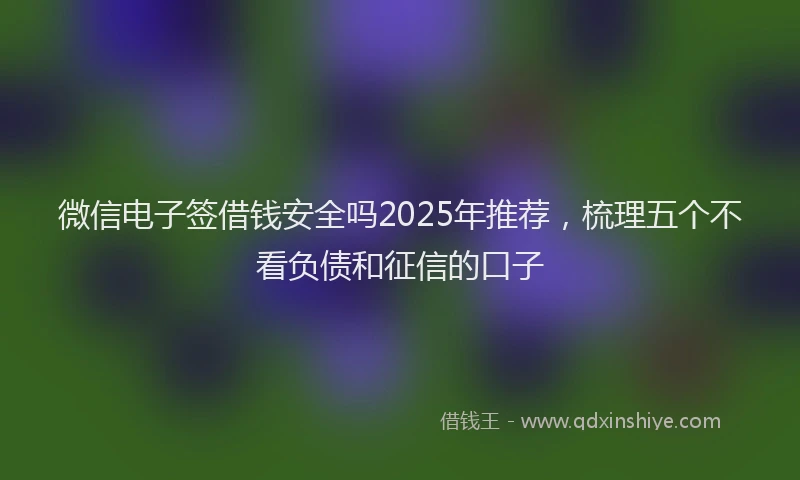 微信电子签借钱安全吗2025年推荐，梳理五个不看负债和征信的口子