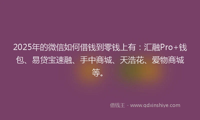 2025年的微信如何借钱到零钱上有：汇融Pro+钱包、易贷宝速融、手中商城、天浩花、爱物商城等。