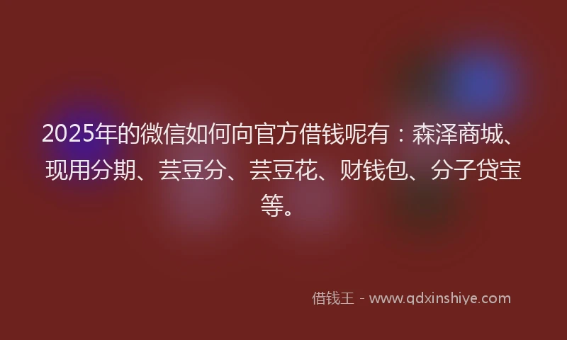 2025年的微信如何向官方借钱呢有：森泽商城、现用分期、芸豆分、芸豆花、财钱包、分子贷宝等。