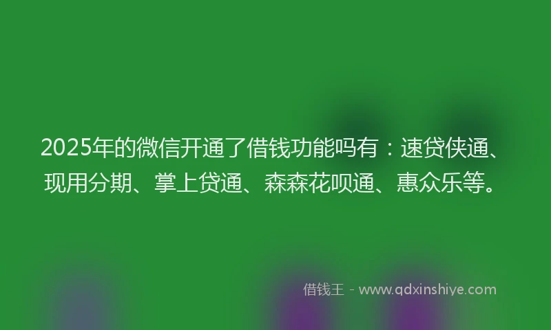 2025年的微信开通了借钱功能吗有：速贷侠通、现用分期、掌上贷通、森森花呗通、惠众乐等。